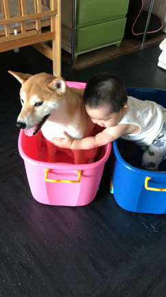 おもちゃ入れの記事動画