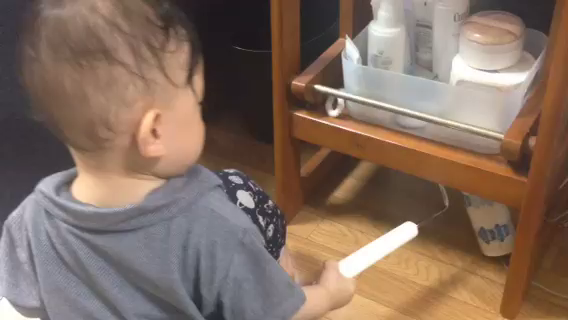 可愛いルンバ♡の記事動画