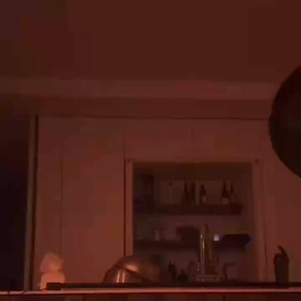 入隊しちゃった。。。の記事動画