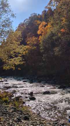 今年最後の定山渓自然散策会へ。の記事動画