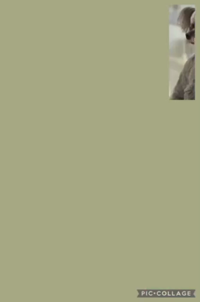 ピンキーわさだブログの記事動画