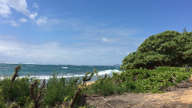 太陽からの祝福の記事動画