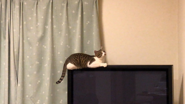 あったかいとこ、知ってますの記事動画