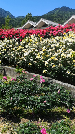 富士川クラフトパークの記事動画