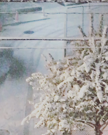 まるで雪国の記事動画