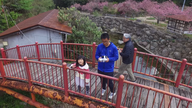 4月8日が開花状況について ライトアップの模様もの記事動画