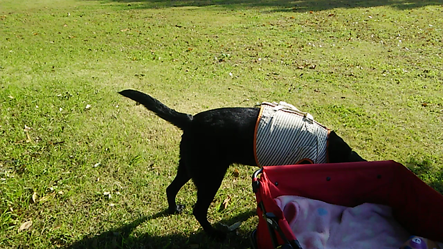 病院への記事動画