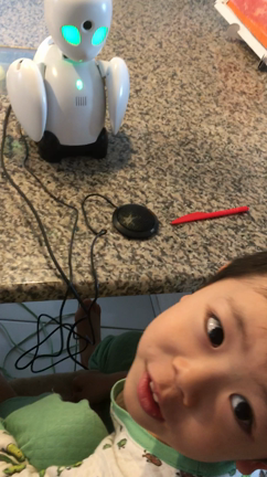 オリヒメくんが来た〜❣️の記事動画