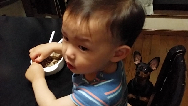 せんとこた二人は仲良し♡の記事動画