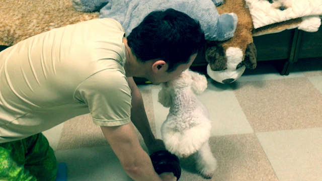 筋トレのじゃまするEveちゃんの記事動画