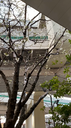 ウィルス予防のための30秒の記事動画