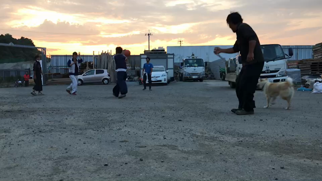 今日のコテゾウ　U^ェ^Uの記事動画