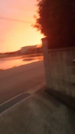 5月24日(日)開催決定の記事動画