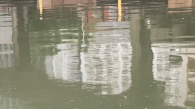 【ギル五反田店】ジェーン・ドー少量入荷です！の記事動画