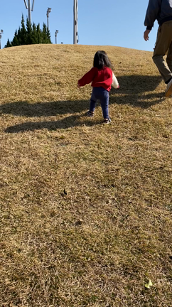 挑戦する姿を応援したいの記事動画