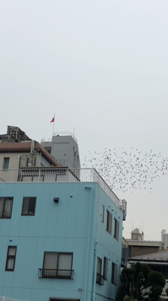 引き寄せ会社社長－1416日目（順調のサインを決めておくと良いですよ！）の記事動画