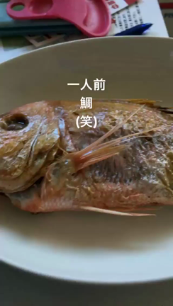 明けましておめでとうございます㊗️の記事動画