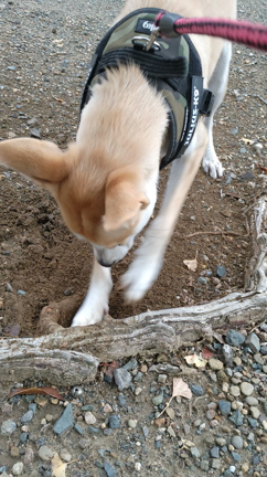 お疲れなぐりさんの記事動画