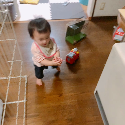 歩いたー！！！の記事動画