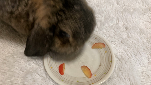 ⭐︎さくらんぼ⭐︎の記事動画