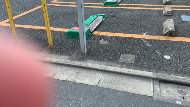 逃げないの記事動画