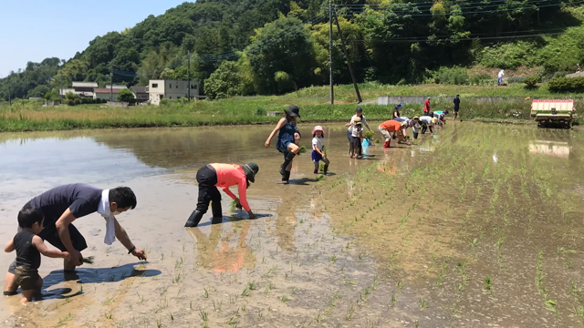 【スクール活動記録】田植え体験2018の記事動画
