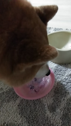 なんかゴメンナサイ。の記事動画