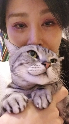 ✨なぜ？怒る✨の記事動画