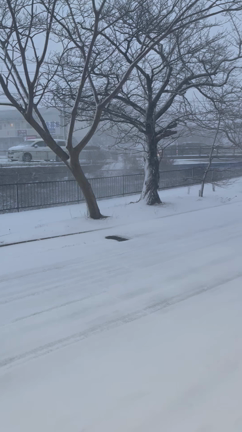 駐車がうまくできる男になりたいの記事動画