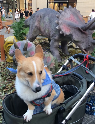 恐竜さんとスヌーピーの記事動画