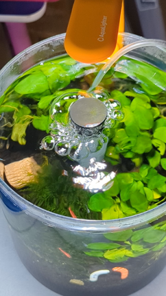 明日は休業ですの記事動画