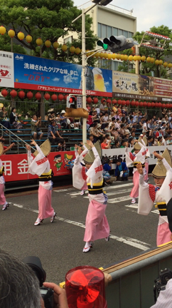 阿波踊りへの記事動画