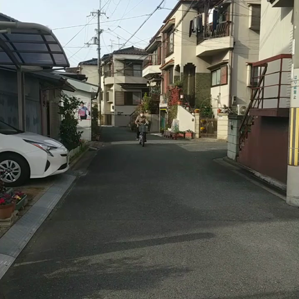 介護予防自転車　「こげーる」の記事動画