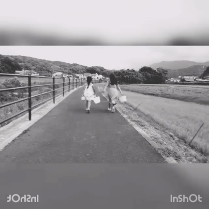 通りかかに見たよの記事動画