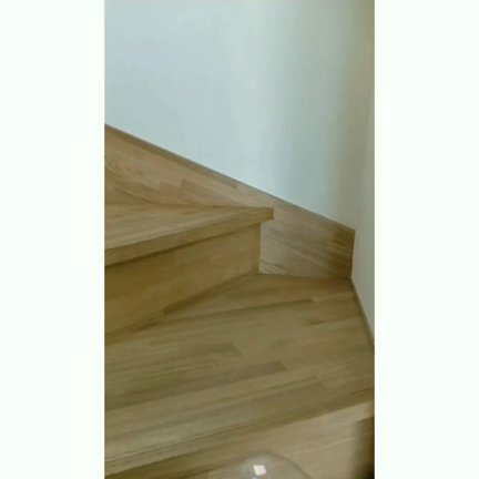 ポリバルーンの記事動画