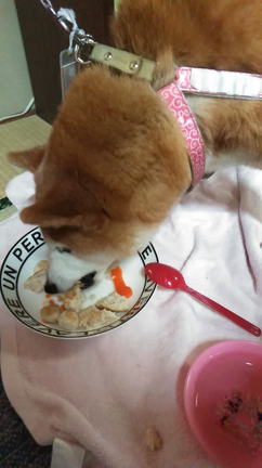 ご無沙汰です。の記事動画