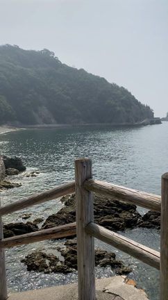 仙酔島再び　2020年8月⑤の記事動画