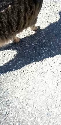 .｡ﾟ+.♪春よ～来い～♪(￣∀￣*)｡+.ﾟの記事動画