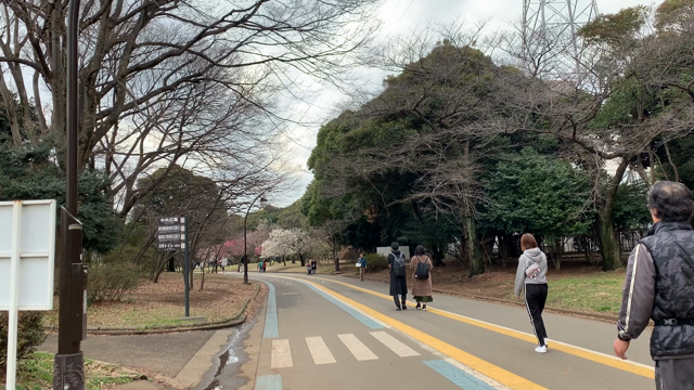 平日午後の駒沢公園パーソナルトレーニングの記事動画