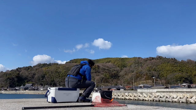 魚釣りが更に好きになったの記事動画
