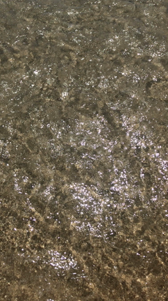 贅沢な時間を楽しむ 初日の記事動画