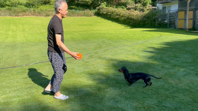 エルキュールくんのお誕生日、3さいになりました！の記事動画