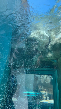 2週連続の記事動画