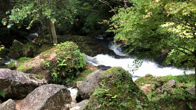 マイナスイオンたっぷりの大自然の記事動画