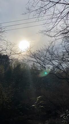 お久しぶりですの記事動画