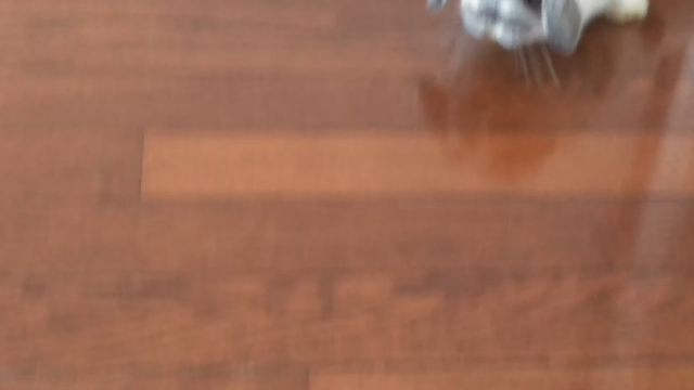こっこを飼った翌日♪の記事動画