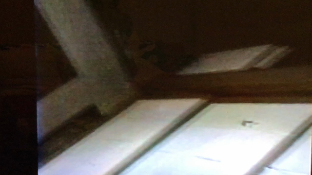 7/31という日が思い出になりました。の記事動画