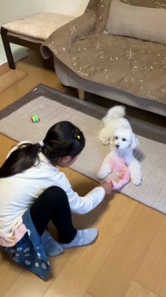 リノちゃんトライアルの記事動画