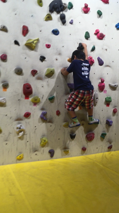 メガ恐竜展とボルダリングの記事動画