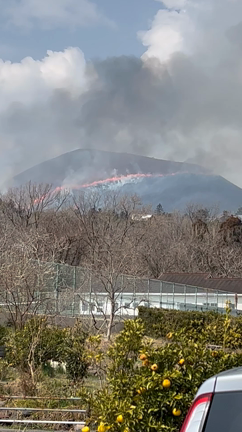山焼きの週末(^^)の記事動画